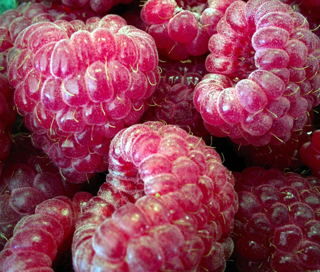 Polana Raspberries – Fruit Farm Community